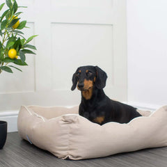 Box Bed For Dogs in Savanna – M, Savanna Bone pour la maison et le jardin