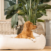 Box Bed For Dogs in Savanna – M, Savanna Bone pour la maison et le jardin