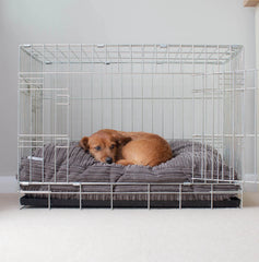 Dog Cushion in Dark Grey Essentials – M, Without Personalization pour la maison et le jardin