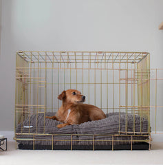 Dog Cushion in Dark Grey Essentials – M, Without Personalization pour la maison et le jardin