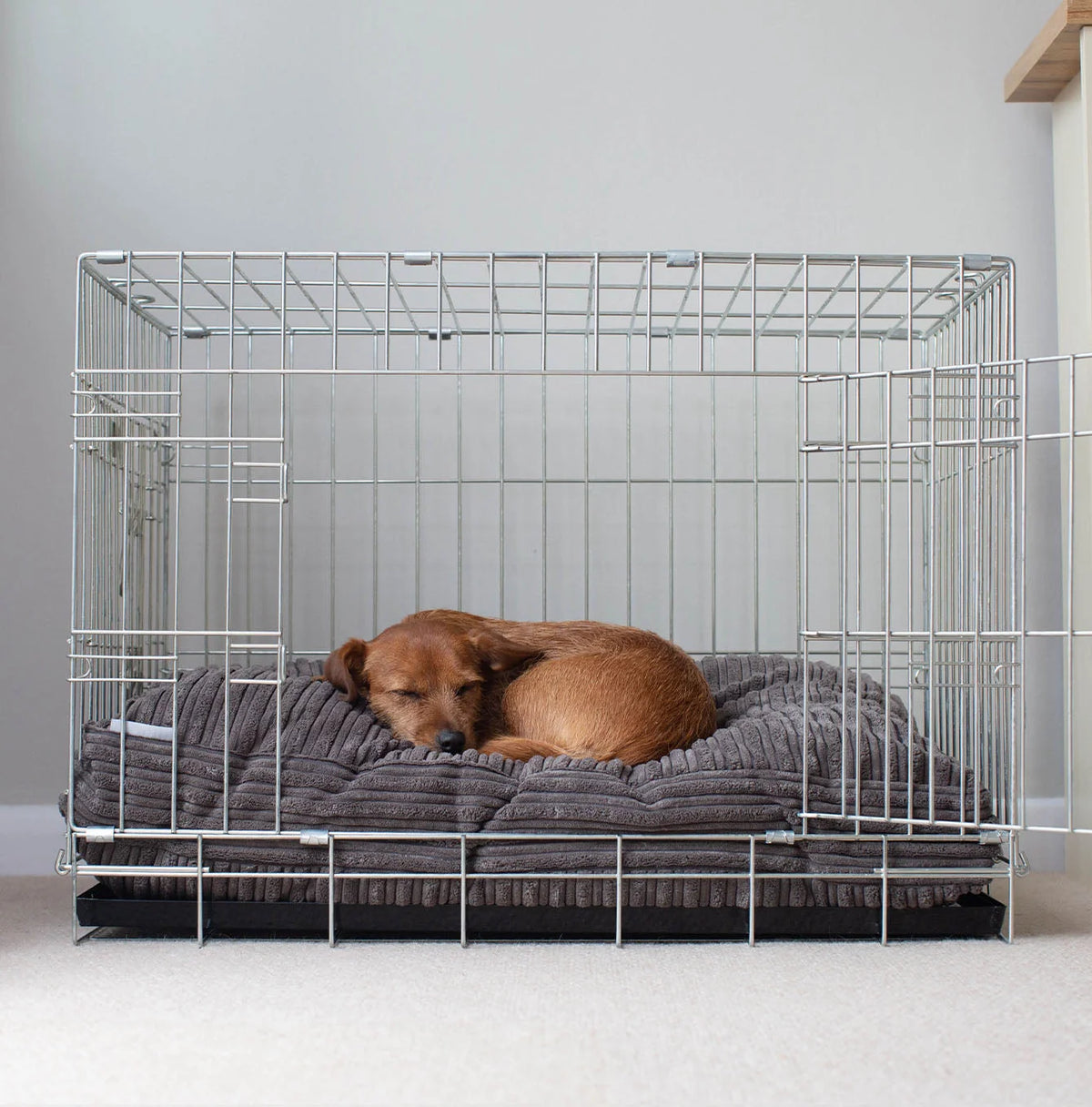 Dog Cushion in Dark Grey Essentials – M, Without Personalization pour la maison et le jardin