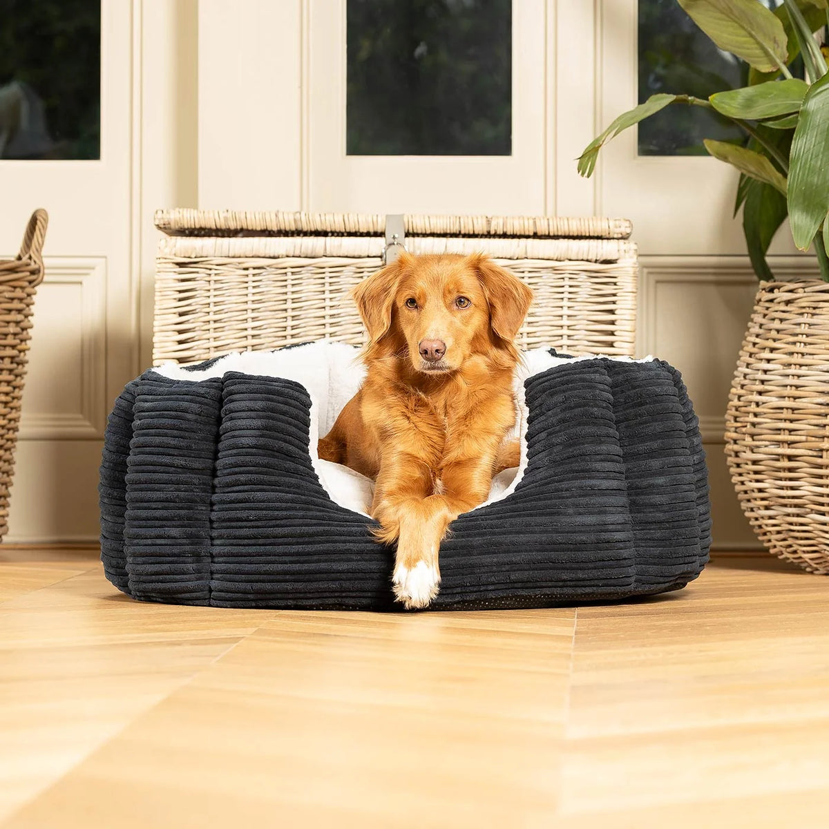 High Wall Bed For Dogs in Essentials Plush – Navy Plush, Without Personalization pour les activités extérieures