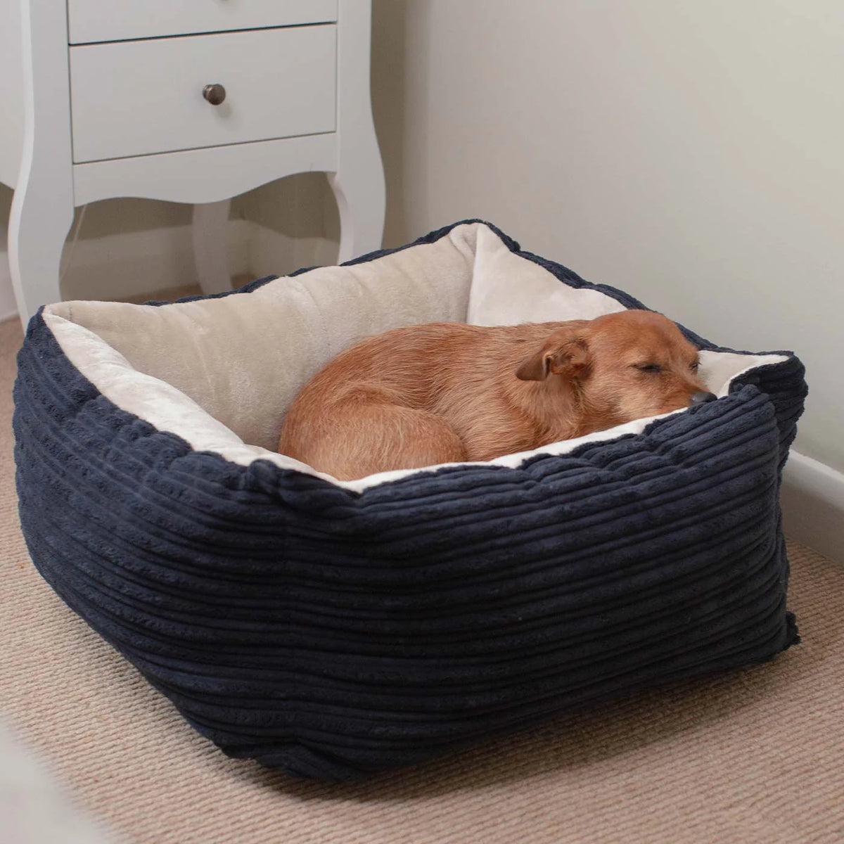 Box Bed For Dogs in Essentials Plush – M, Navy Plush pour la maison et le jardin