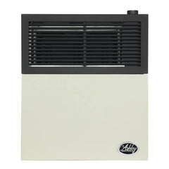 11,000 BTU Direct-Vent Liquid Propane Wall-Mounted Heater