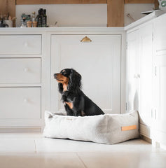 Box Bed in Sandstone – M pour la maison et le jardin