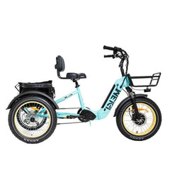 48V 14Ah 750W Foldable Fat Tire Electric Trike, 330-Lb. Capacity