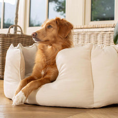 High Wall Bed For Dogs in Savanna – Savanna Oatmeal, Without Personalization pour les activités extérieures